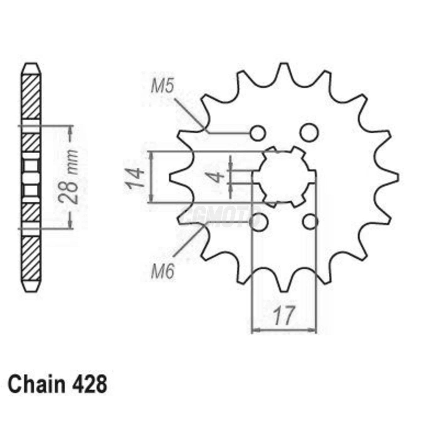 Pignon RS4 125