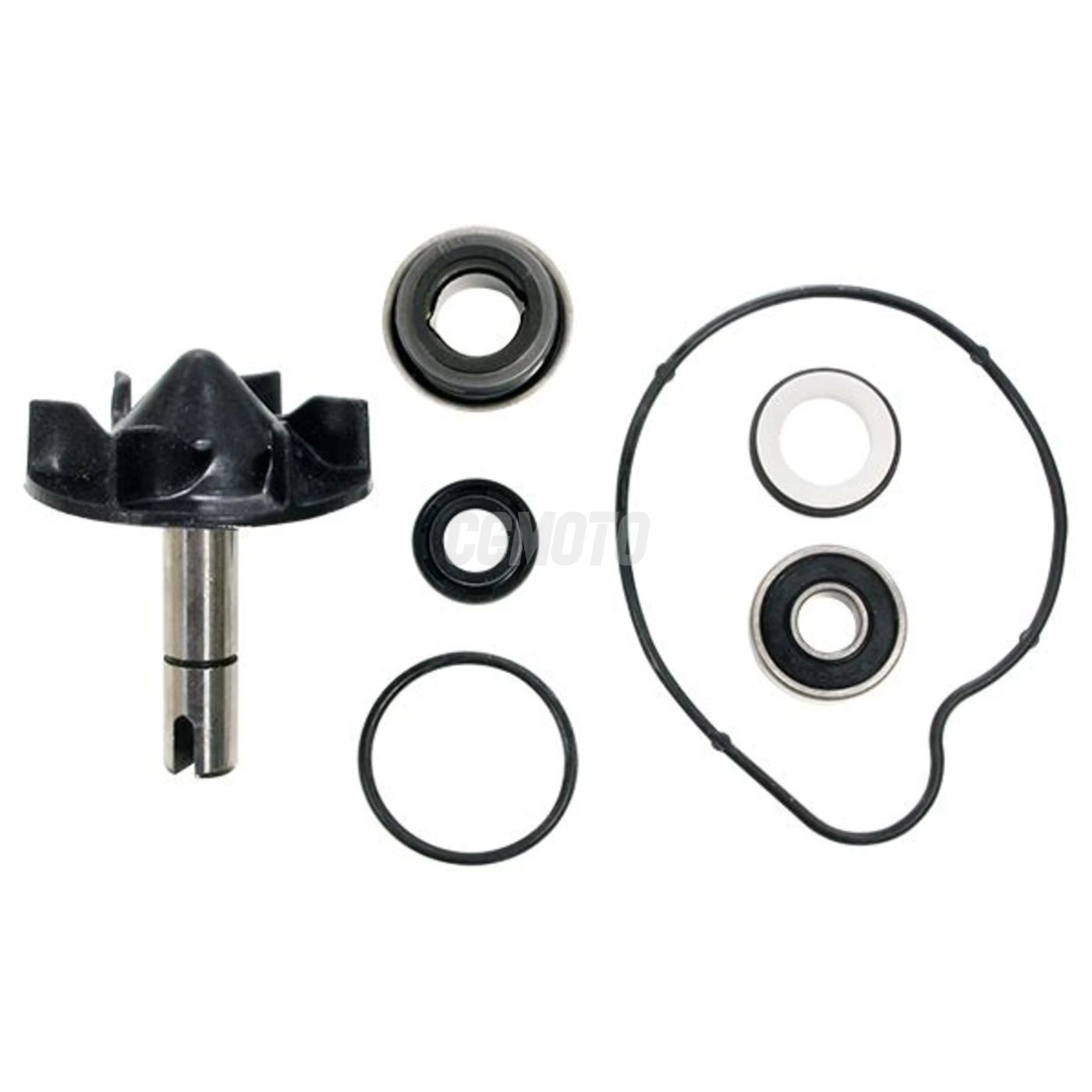 Kit Pompe à Eau Tmax 530 2012-2016