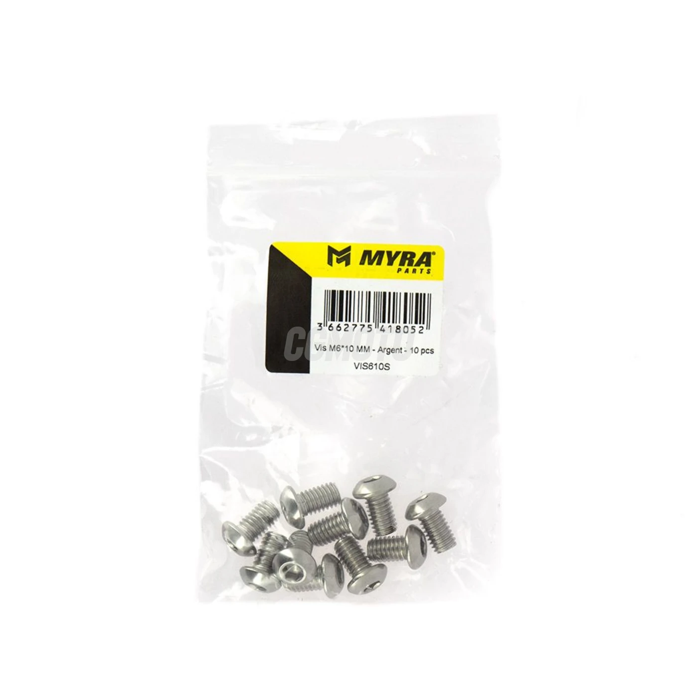 Vis M6*10 MM - Argent - 10 pcs