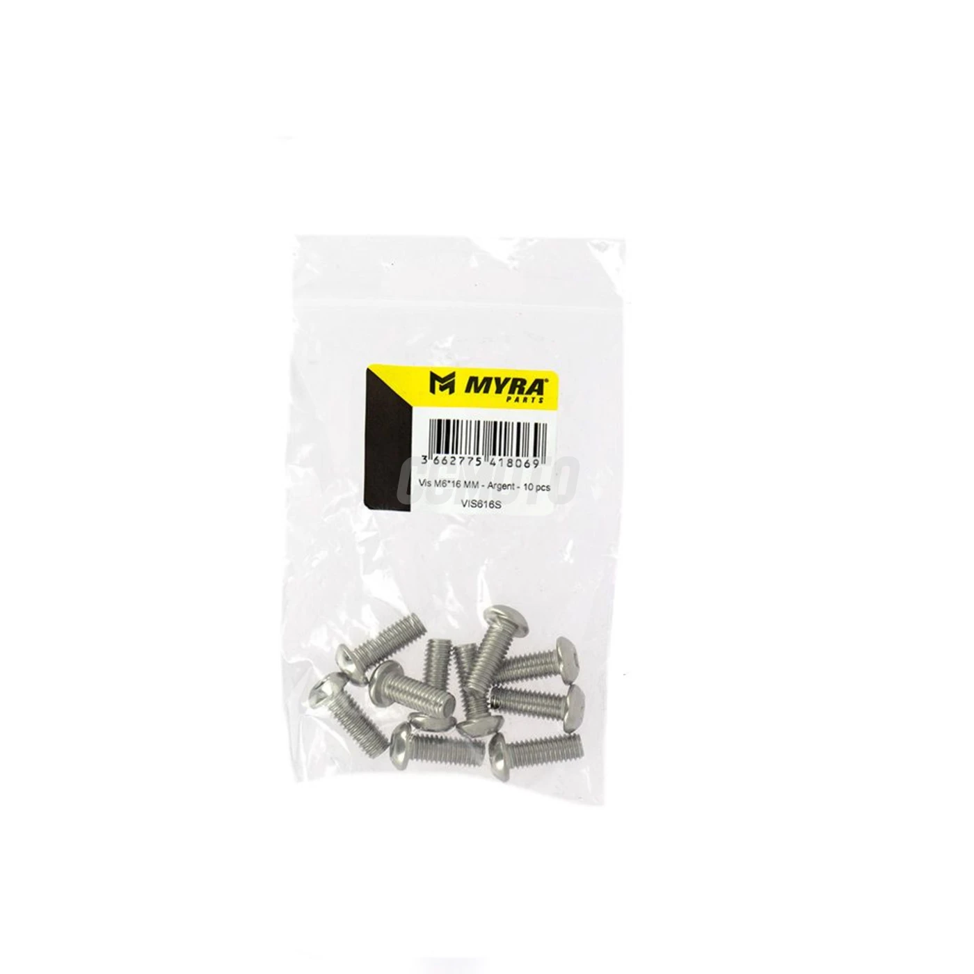 Vis M6*16 MM - Argent - 10 pcs