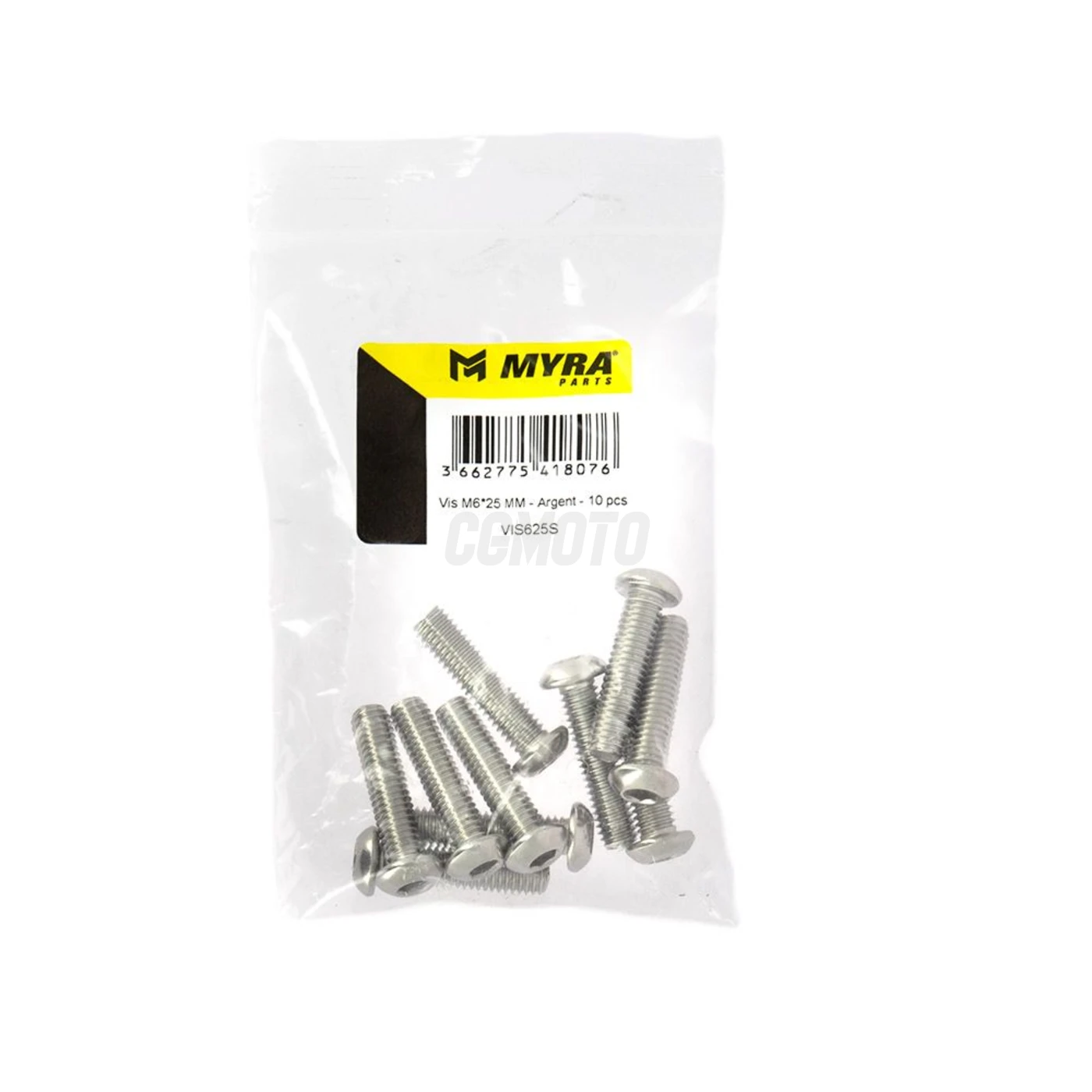 Vis M6*25 MM - Argent - 10 pcs